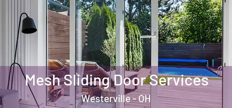 Mesh Sliding Door Services Westerville - OH
